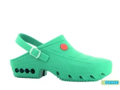 KLOMP AUTOCLAAF OXYCLOG GROEN OB ESD